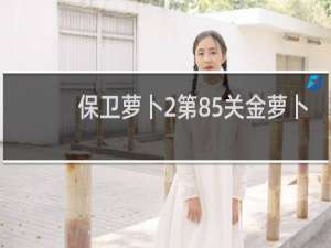 保卫萝卜2第85关金萝卜