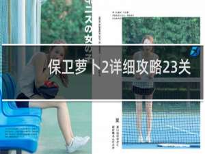 保卫萝卜2详细攻略23关