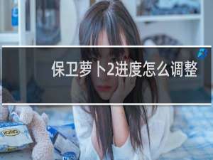 保卫萝卜2进度怎么调整
