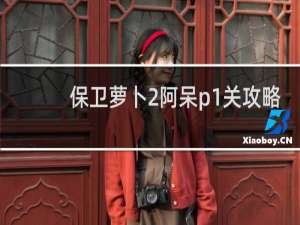 保卫萝卜2阿呆p1关攻略