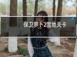 保卫萝卜2雪地关卡