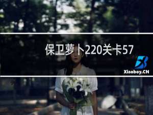 保卫萝卜2 关卡57