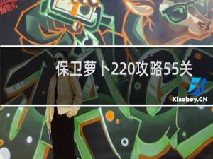 保卫萝卜2 攻略55关