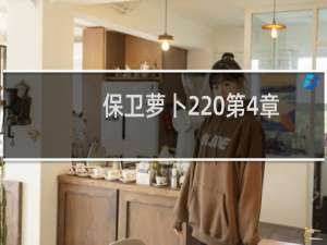 保卫萝卜2 第4章