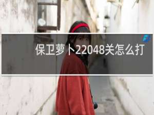 保卫萝卜2 48关怎么打