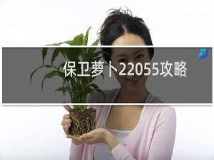 保卫萝卜2 55攻略