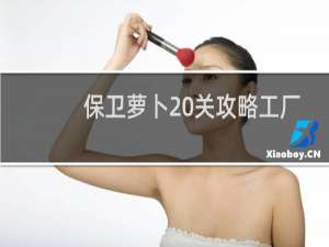 保卫萝卜20关攻略工厂