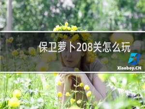 保卫萝卜208关怎么玩