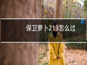 保卫萝卜213怎么过