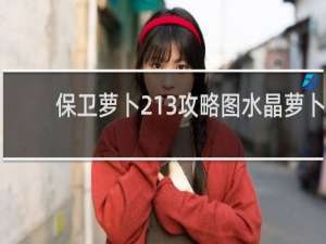 保卫萝卜213攻略图水晶萝卜
