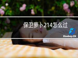 保卫萝卜214怎么过