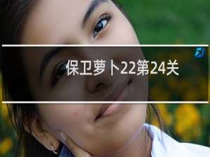 保卫萝卜22第24关