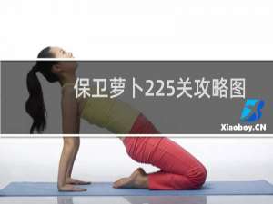 保卫萝卜225关攻略图