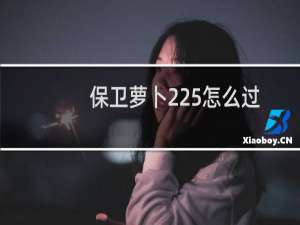 保卫萝卜225怎么过