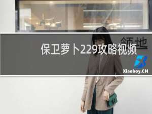 保卫萝卜229攻略视频