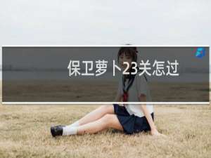 保卫萝卜23关怎过