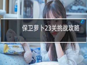 保卫萝卜23关挑战攻略