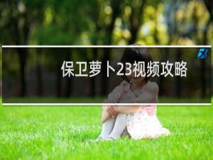 保卫萝卜23视频攻略
