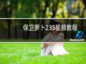 保卫萝卜235视频教程