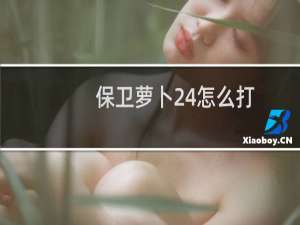 保卫萝卜24怎么打