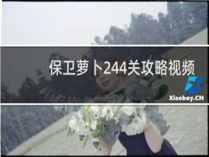 保卫萝卜244关攻略视频