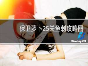 保卫萝卜25关鱼刺攻略图