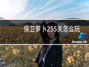 保卫萝卜255关怎么玩