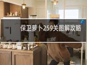 保卫萝卜259关图解攻略