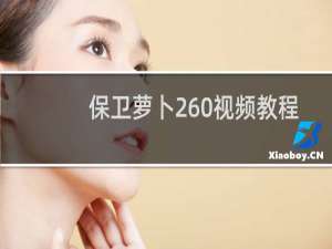 保卫萝卜260视频教程