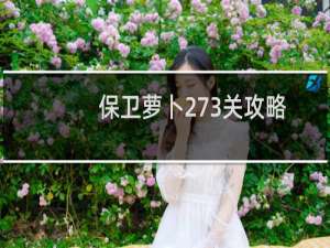 保卫萝卜273关攻略