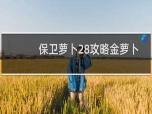 保卫萝卜28攻略金萝卜