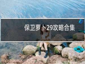 保卫萝卜29攻略合集