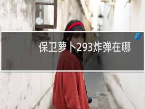 保卫萝卜293炸弹在哪