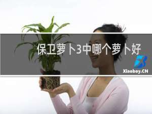 保卫萝卜3中哪个萝卜好