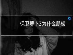 保卫萝卜3为什么爬梯