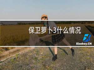 保卫萝卜3什么情况