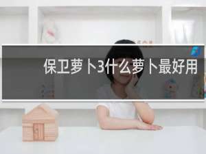 保卫萝卜3什么萝卜最好用