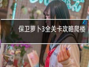 保卫萝卜3全关卡攻略爬楼