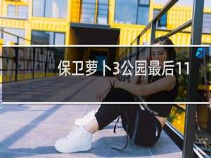 保卫萝卜3公园最后11
