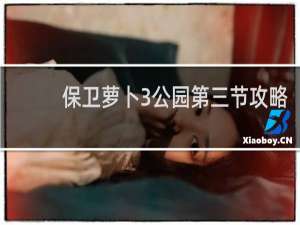 保卫萝卜3公园第三节攻略