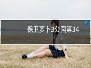保卫萝卜3公园第34