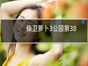 保卫萝卜3公园第38