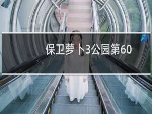 保卫萝卜3公园第60