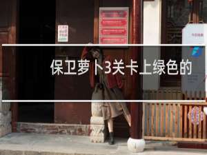 保卫萝卜3关卡上绿色的