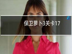 保卫萝卜3关卡17