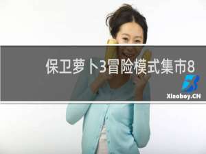 保卫萝卜3冒险模式集市8