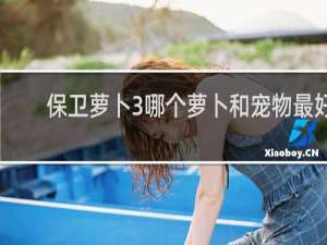 保卫萝卜3哪个萝卜和宠物最好