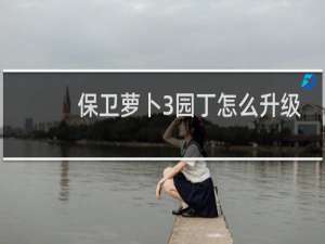 保卫萝卜3园丁怎么升级