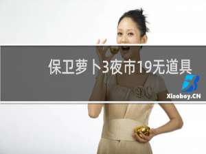 保卫萝卜3夜市19无道具