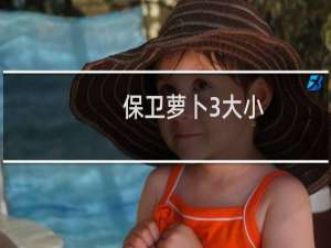 保卫萝卜3大小